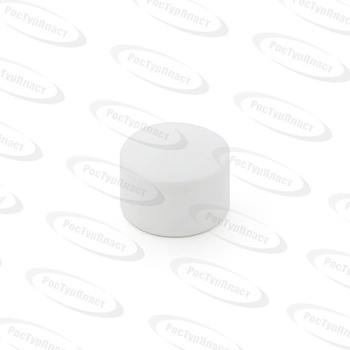 Заглушка PPR  90 PN25 RTP /14/2 шт.уп/